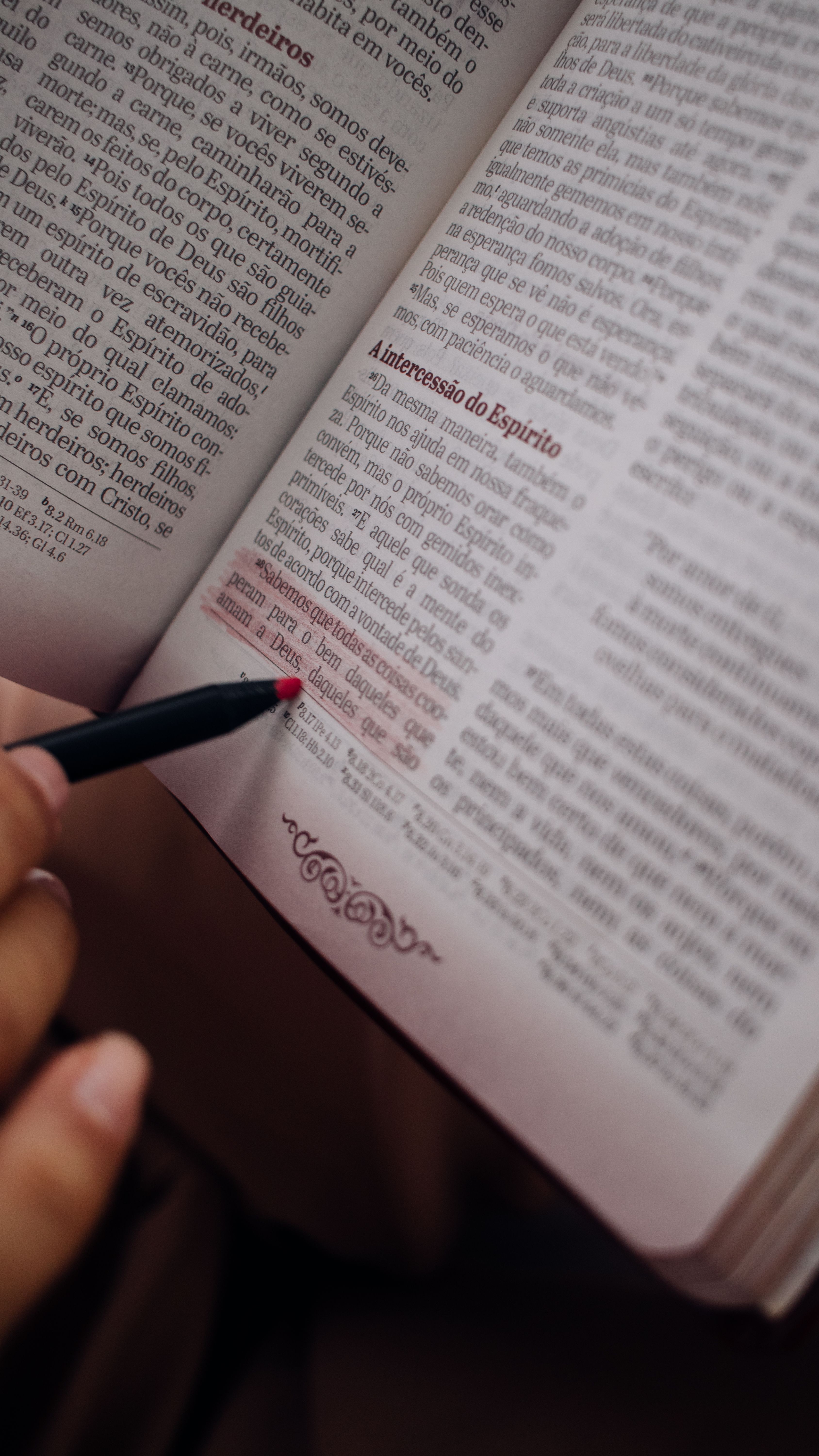 A hand with red pen highlights text in an open book. Perfect for education themes.