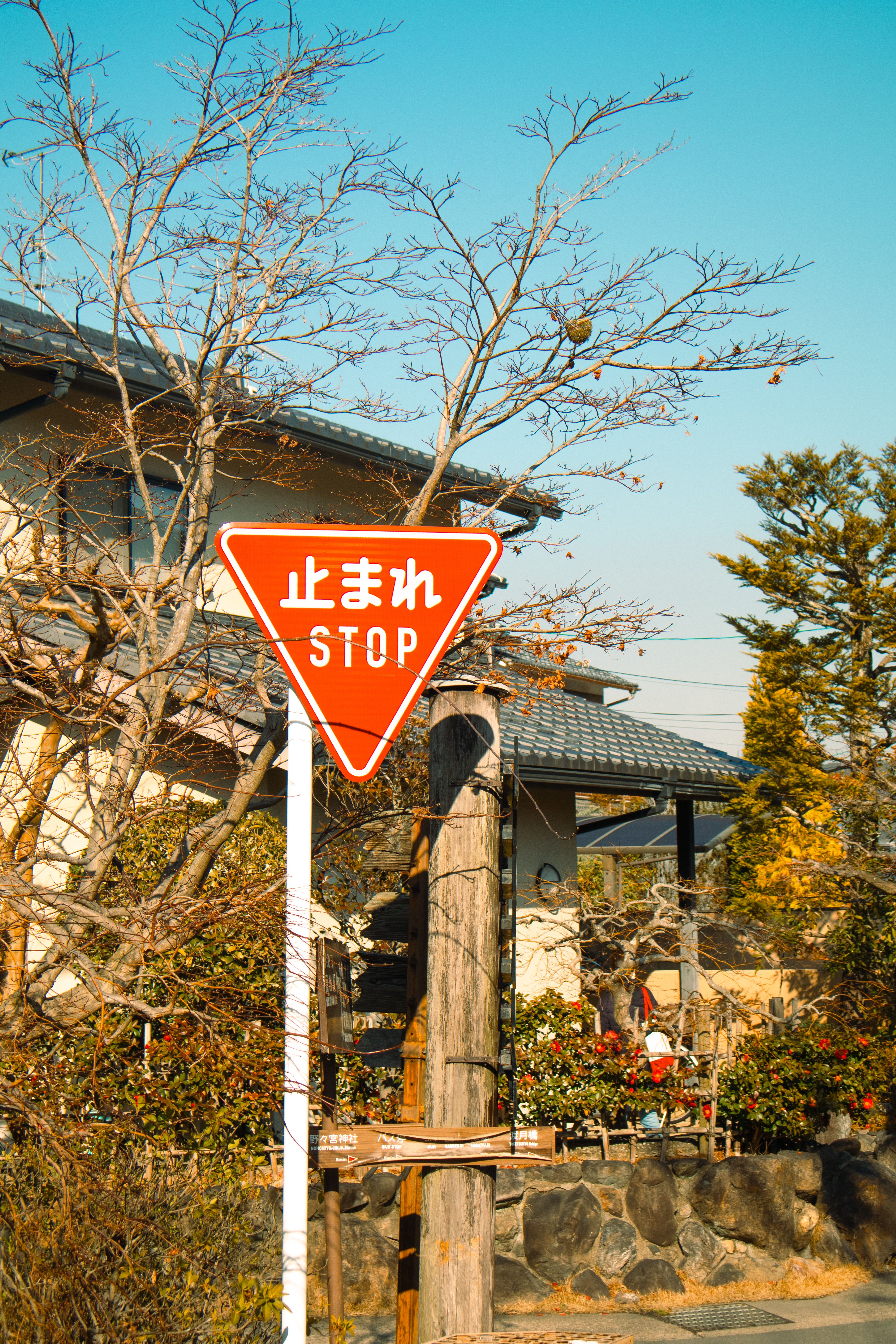 A Japanese stop sign in a peaceful Kyoto suburb during a sunny day, surrounded by traditional homes and trees.