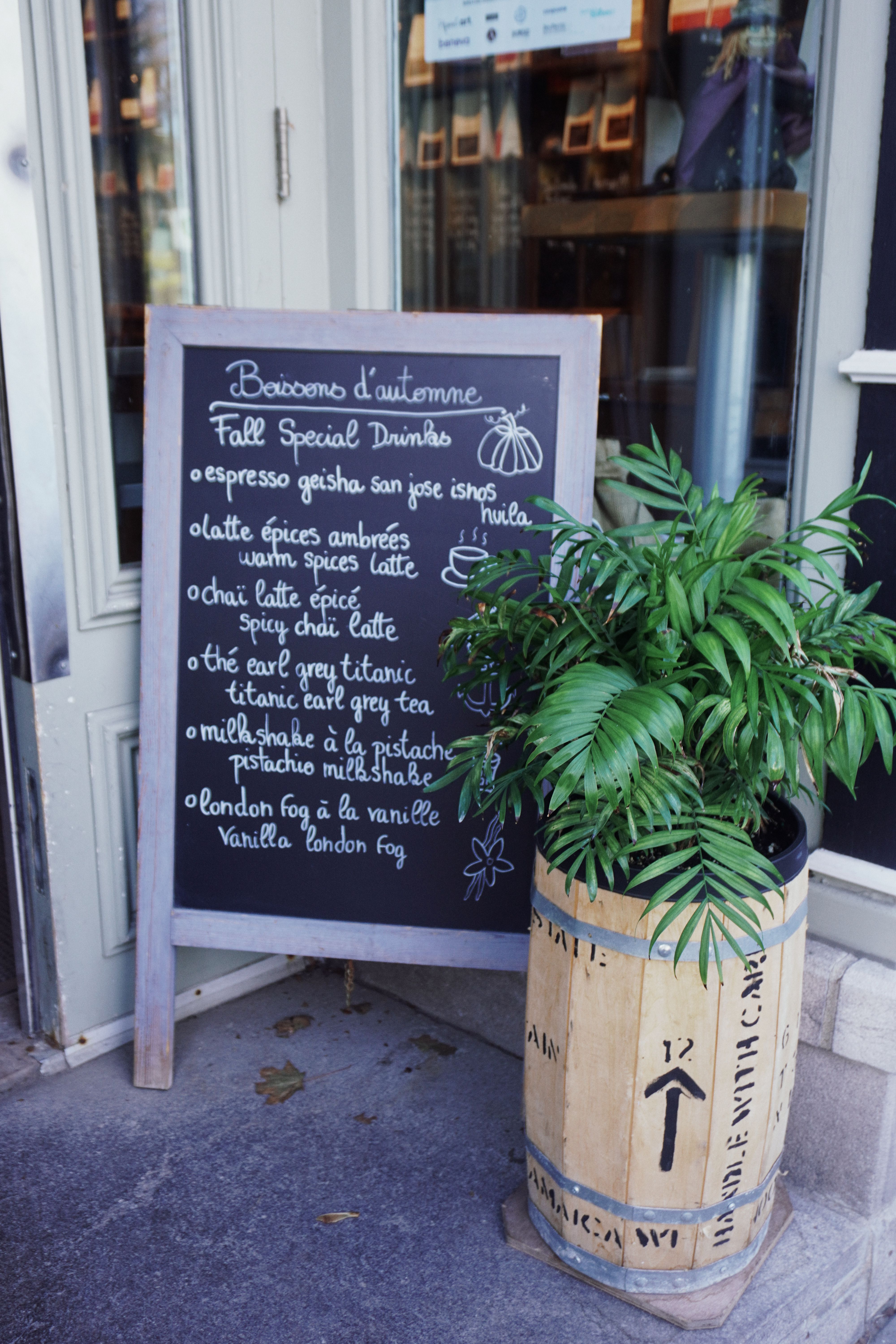 Chalkboard menu featuring fall drinks outside a cafe with a potted plant.